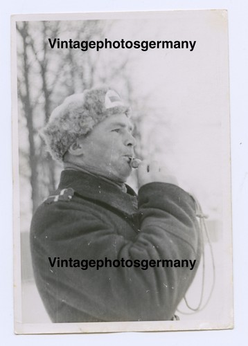 Z8086 foto freiwillige - foto,